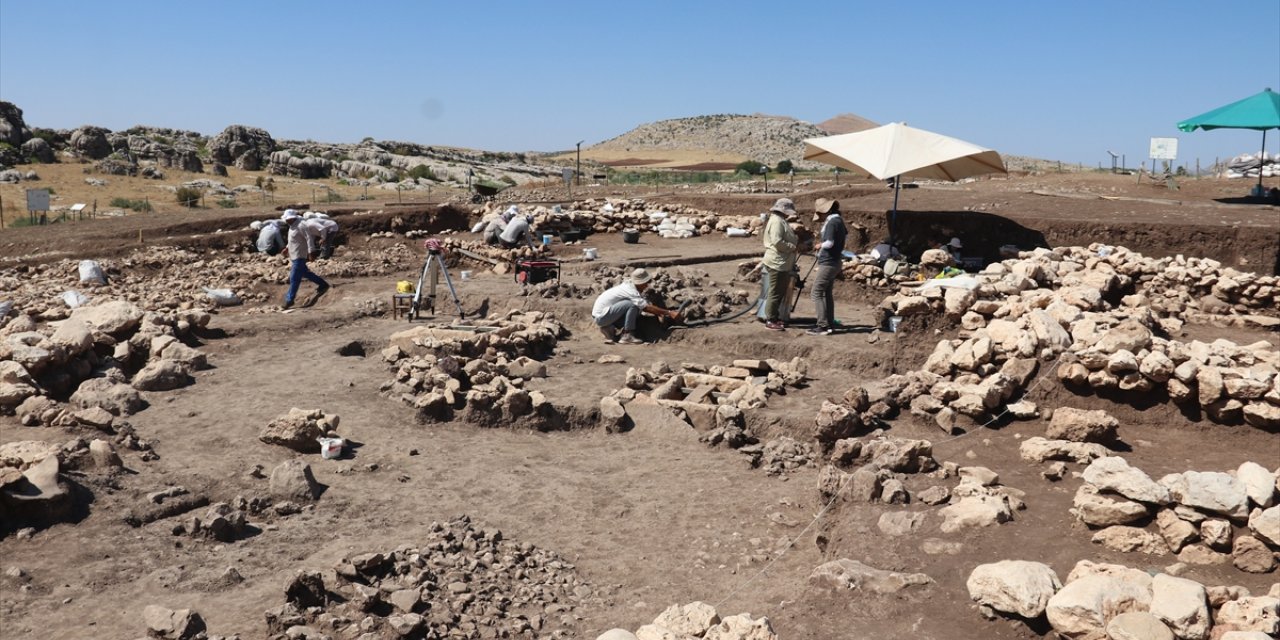 Yerleşik yaşamın izlerini barındıran Çayönü Höyüğünde 5 sandık mezar daha bulundu