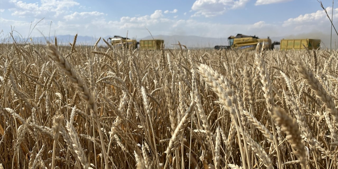 Erzurum'da geleneksel "Hasat Bayramı" yapıldı