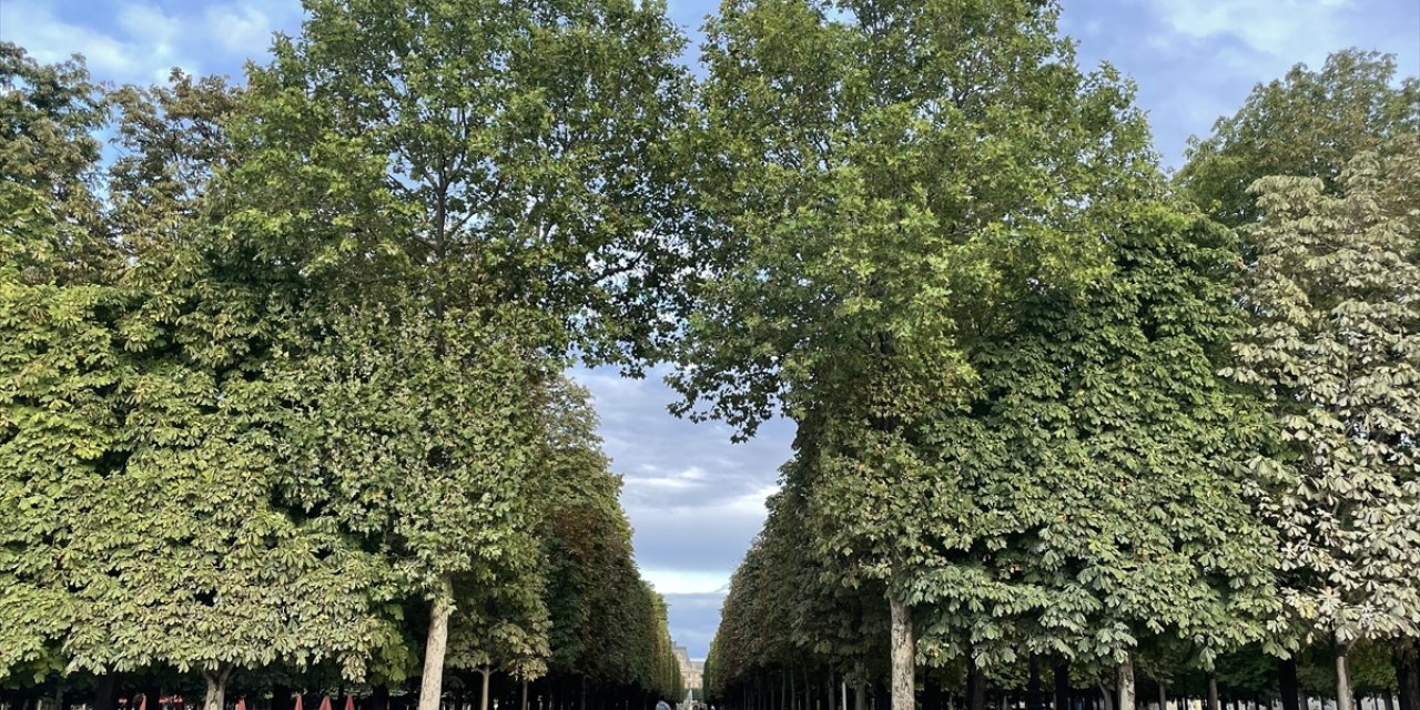 DOSYA HABER/AVRUPA'NIN PARKLARI - Paris'in en eski yeşil alanı Tuileries Bahçesi heykelleriyle bir açık hava müzesi