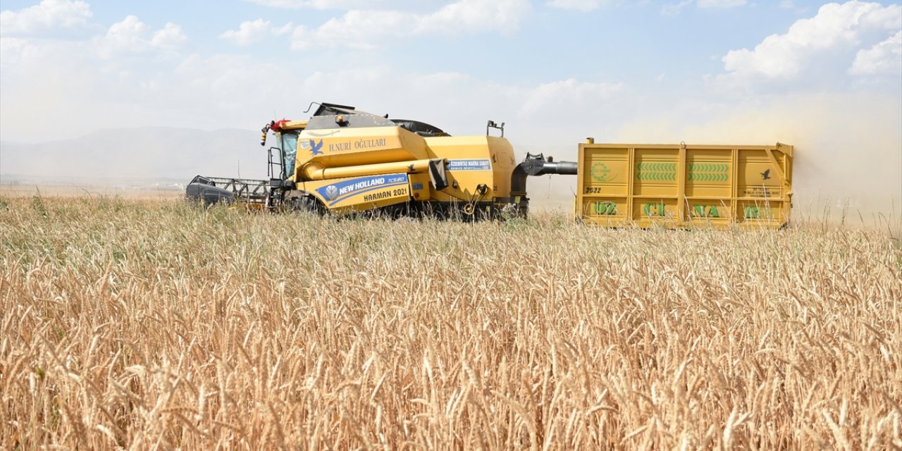 12 bin 279 çiftçinin hibe desteği aldığı Erzurum'da tarımsal üretim arttı