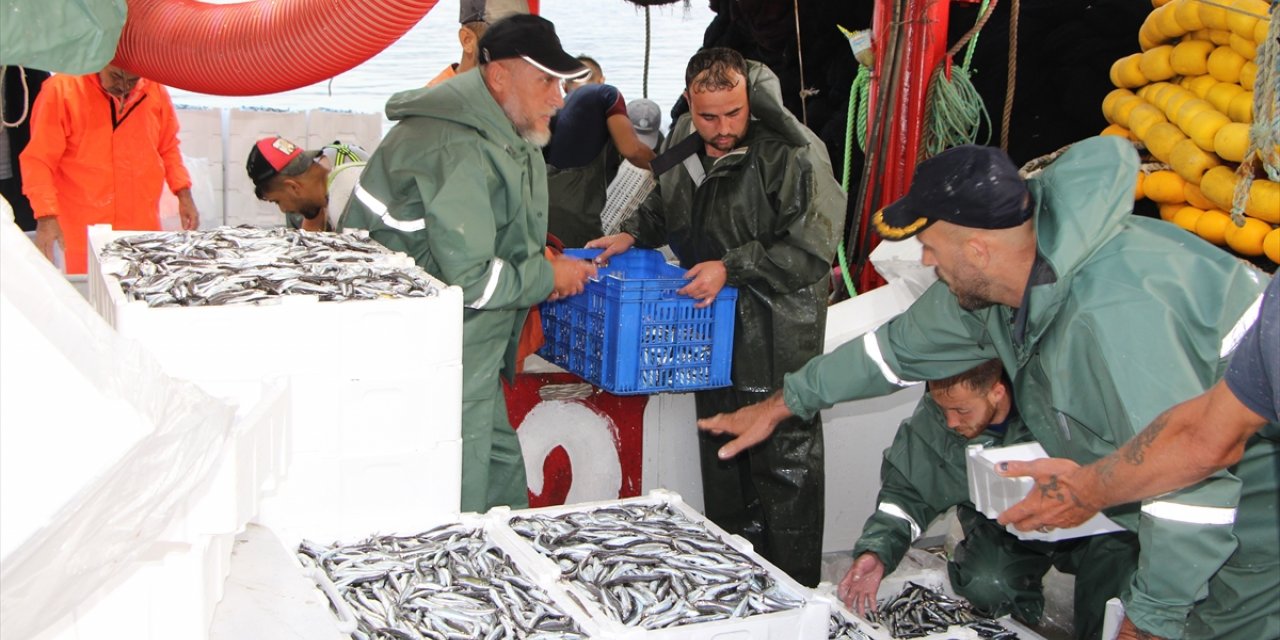 Güney Marmara'da av sezonu sardalya, hamsi ve istavritle başladı