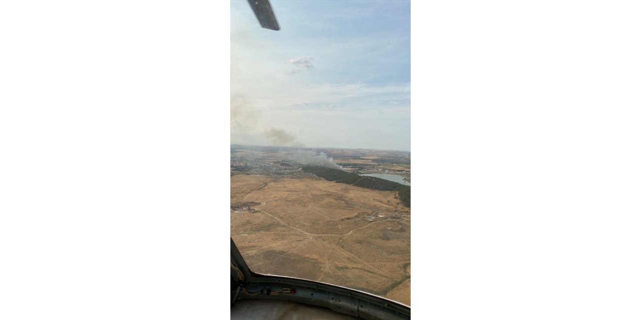 Edirne'de çıkan orman yangınına müdahale ediliyor