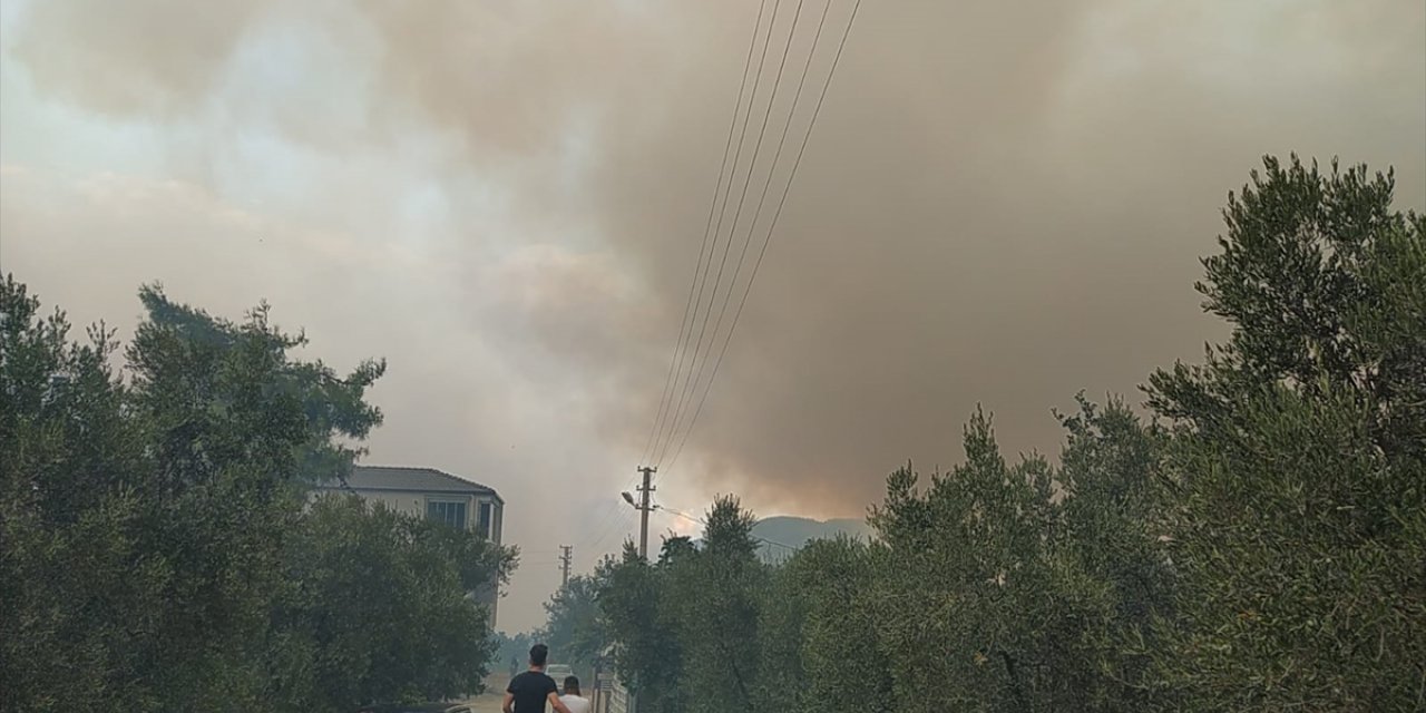 Bursa'da çıkan orman yangınına müdahale ediliyor