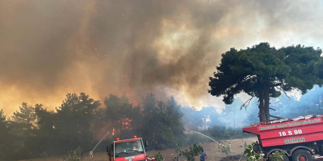 GÜNCELLEME 2 - Bursa'da çıkan orman yangınına müdahale ediliyor