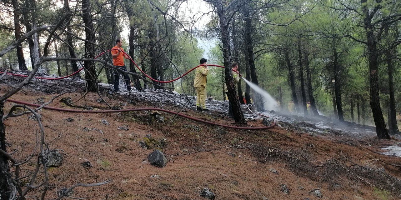 Çorum’da ormanlık alanda çıkan örtü yangını söndürüldü