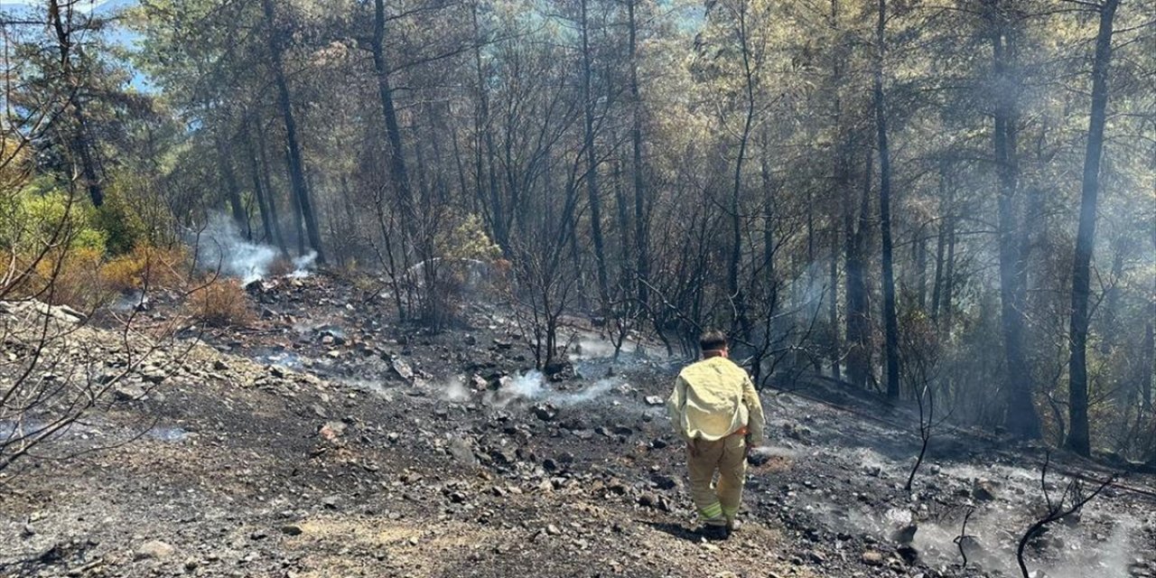 Marmaris'te çıkan orman yangını kontrol altına alındı