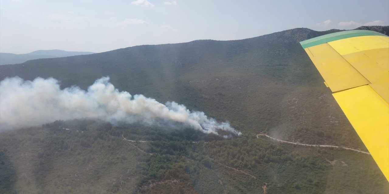 İzmir'de çıkan orman yangınına müdahale ediliyor