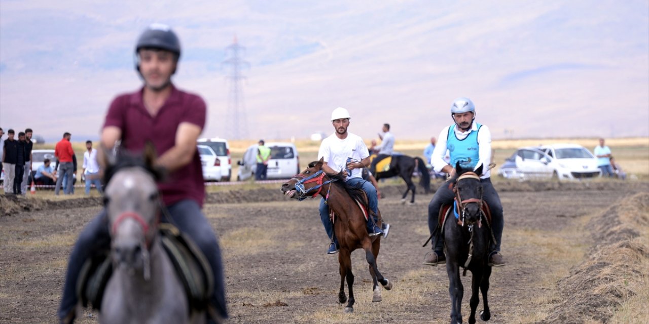 Ardahan'da "9. Rahvan At Yarışları ve 7. Doğu Anadolu Şampiyonası" yapıldı