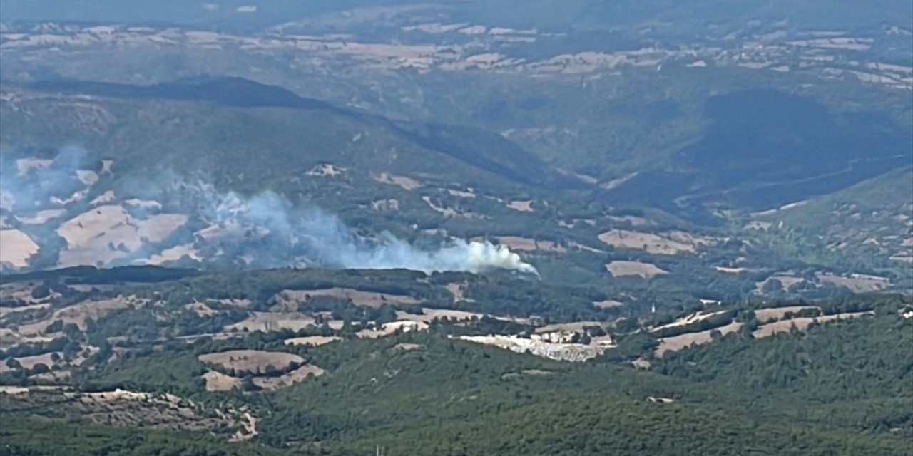 Balıkesir'deki orman yangını kontrol altına alındı