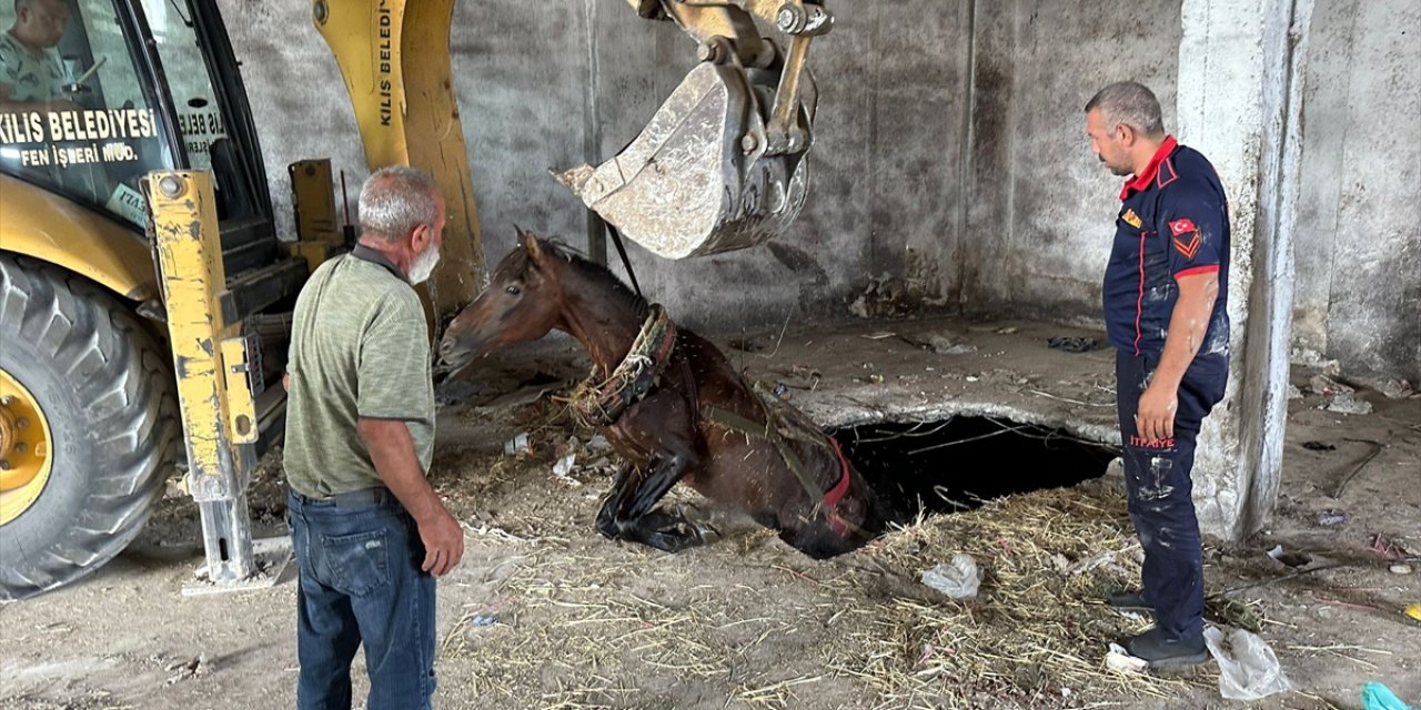 Kilis'te kuyuya düşen at itfaiye ekiplerince kurtarıldı