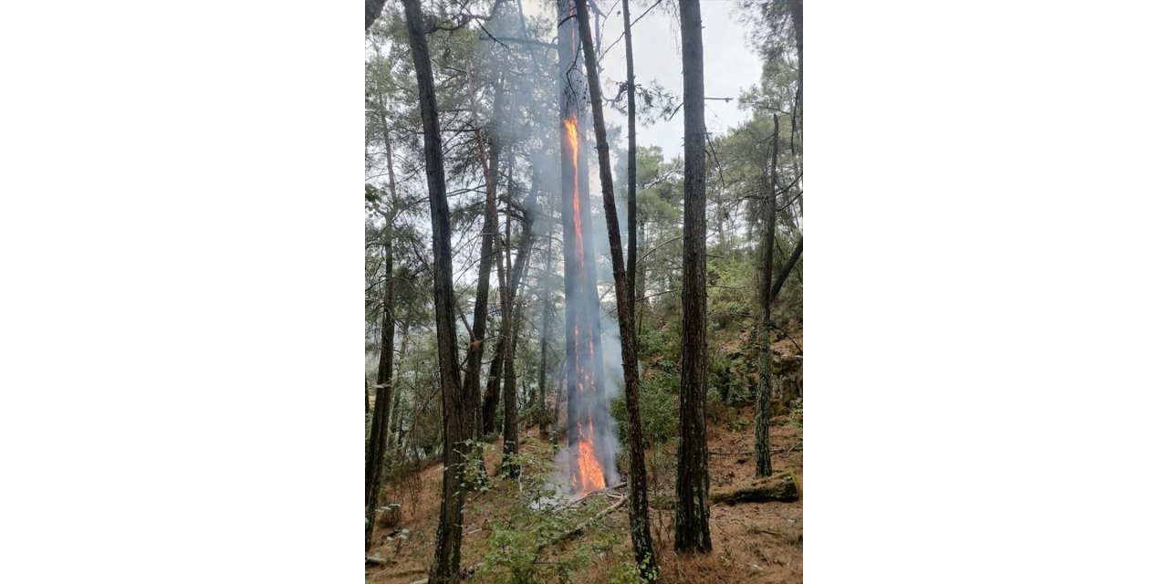 Muğla'da dün yıldırımlar 36 yerde yangına neden oldu