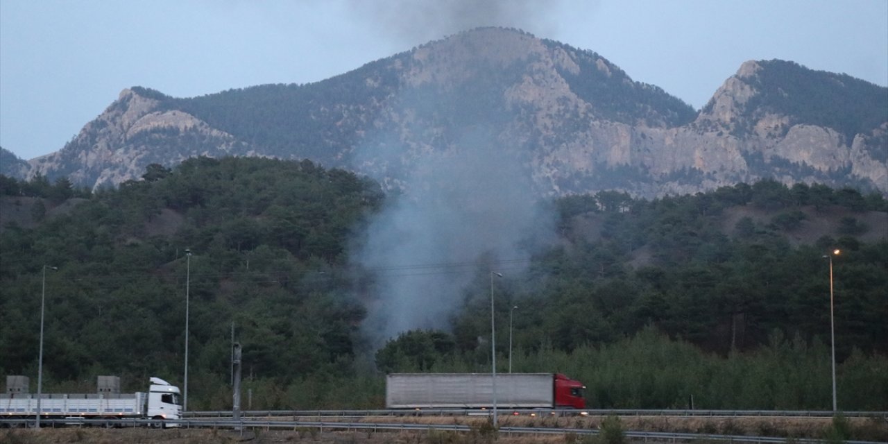 Adana'da yanan araçtan ormana sıçrayan alevler söndürüldü