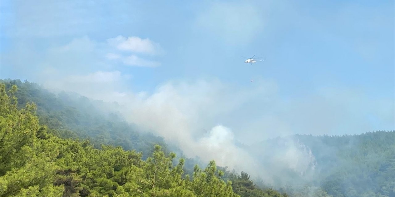 Kazdağları'nda orman yangını çıktı