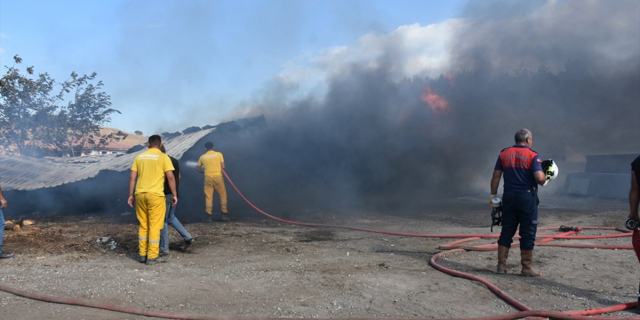 Sinop'ta mangal kömürü üretim atölyesinde çıkan yangın söndürüldü