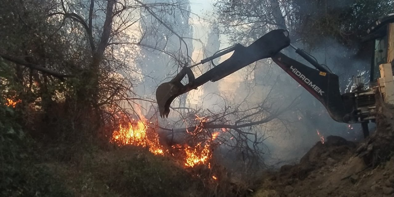 Çorum'da ağaçlık alana sıçrayan anız yangını 100 dönüm alana zarar verdi