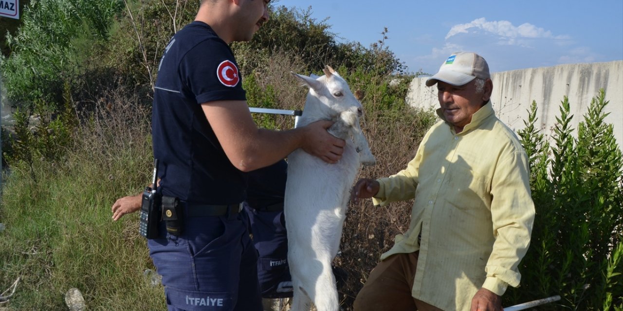 Antalya'da kuyuya düşen oğlağı itfaiye kurtardı