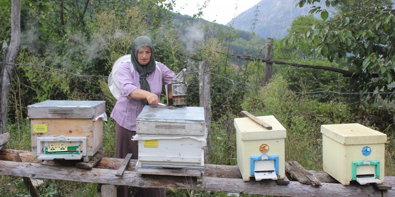 Artvinli kadın girişimci, ürettiği ana arı ve balı ülkenin dört bir yanına satıyor