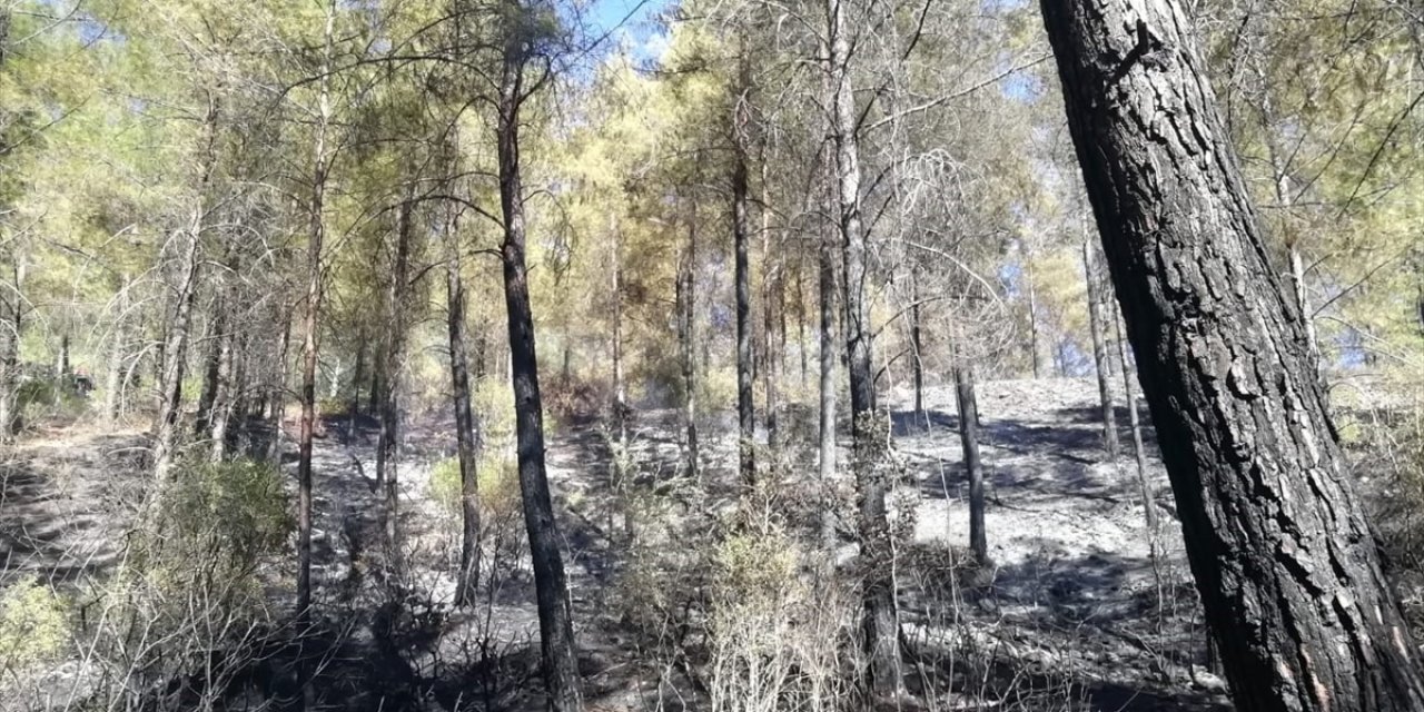 Antalya'da çıkan orman yangını kontrol altına alındı