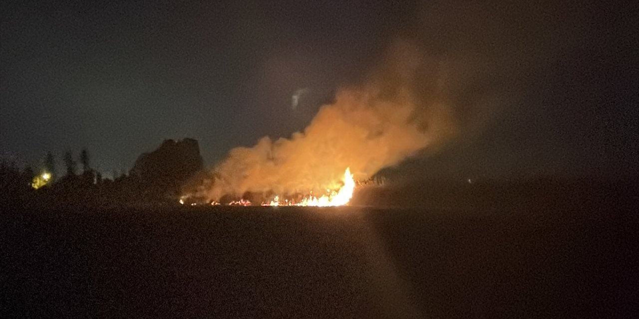 Hatay'da sazlık alanda çıkan yangın kontrol altına alındı