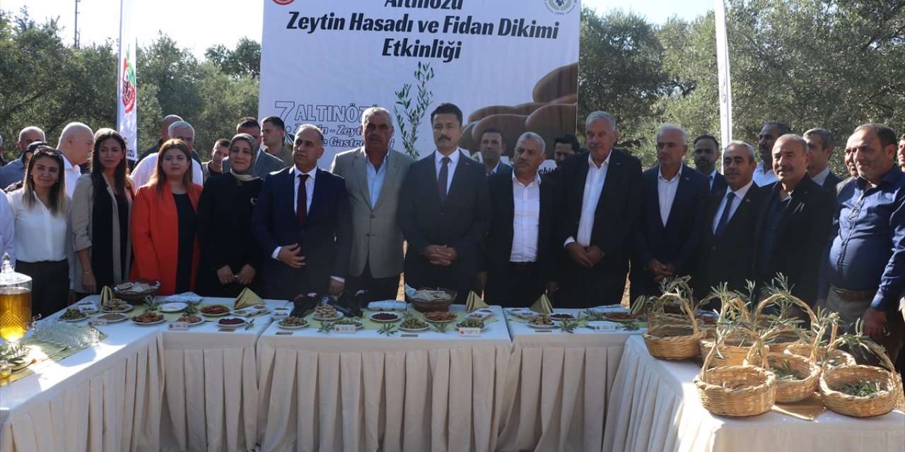 Hatay'da "7. Altınözü Zeytin, Zeytinyağı ve Gastronomi Festivali" düzenlendi