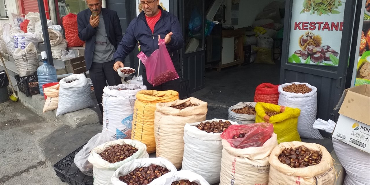 Zonguldak'ta kestane pazara indi