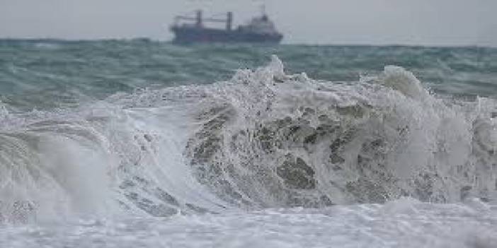 Tsunami Dalgaları Pasifikte 4 Metreyi aştı
