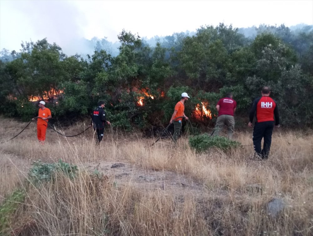 Bingöl'de çıkan orman yangını söndürüldü