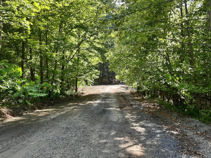 Bolu'da selde zarar gören Mengen-Yedigöller yolu ulaşıma açıldı