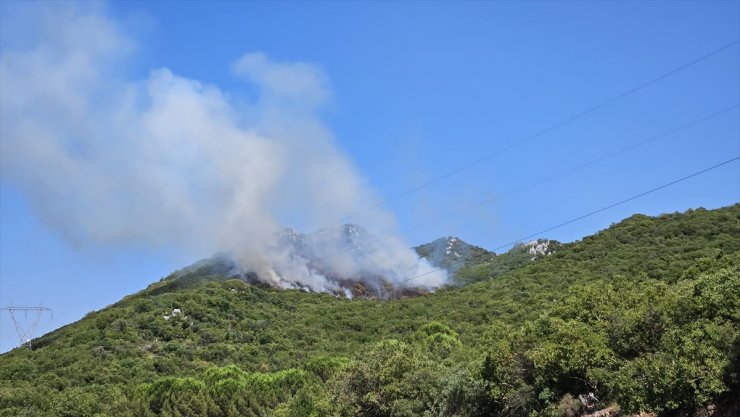 Antalya'nın Demre ilçesinde orman yangını çıktı