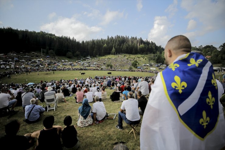 Bosna Hersek'te geleneksel boğa güreşi etkinliği düzenlendi