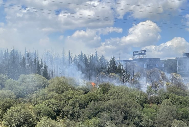 Kağıthane'de ormanlık alanda yangın çıktı