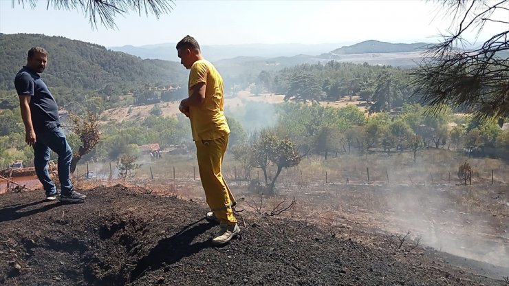 Kazdağları'nda çıkan yangın söndürüldü