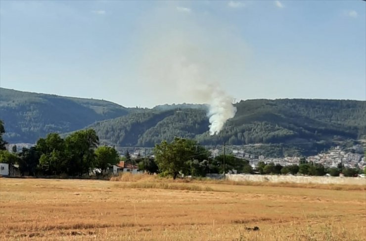 Muğla'da orman yangını çıktı