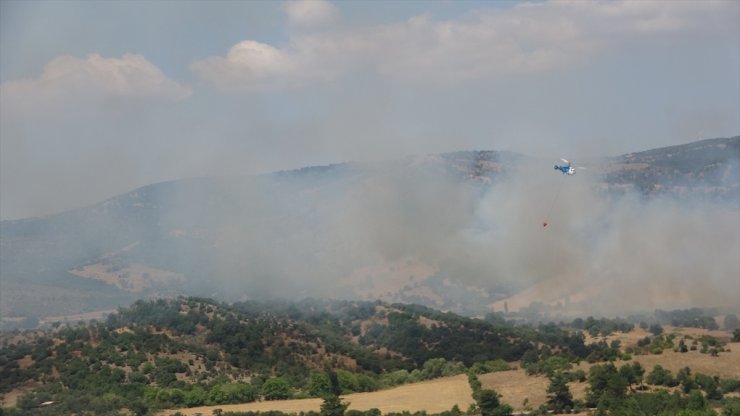 Çanakkale'de çıkan yangın tarım arazisinde zarara neden oldu