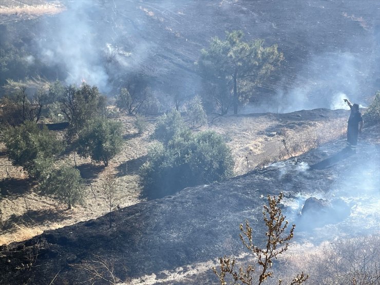 Hatay'da zeytinlik ve ormanlık alanda çıkan orman yangınına müdahale ediliyor