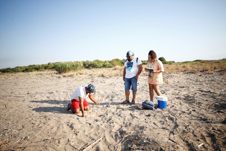 Belek'te 2 bin, Kızılot'ta 1600 caretta caretta yuvası tespit edildi