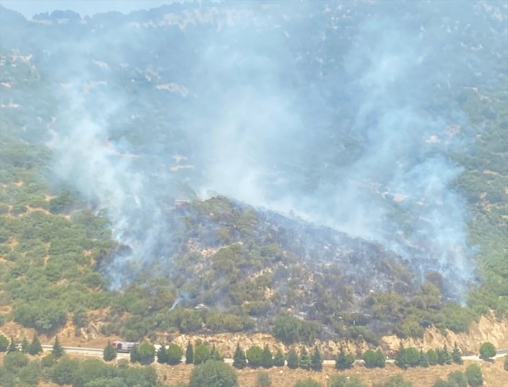 İzmir'de makilik alana sıçrayan yangına müdahale ediliyor