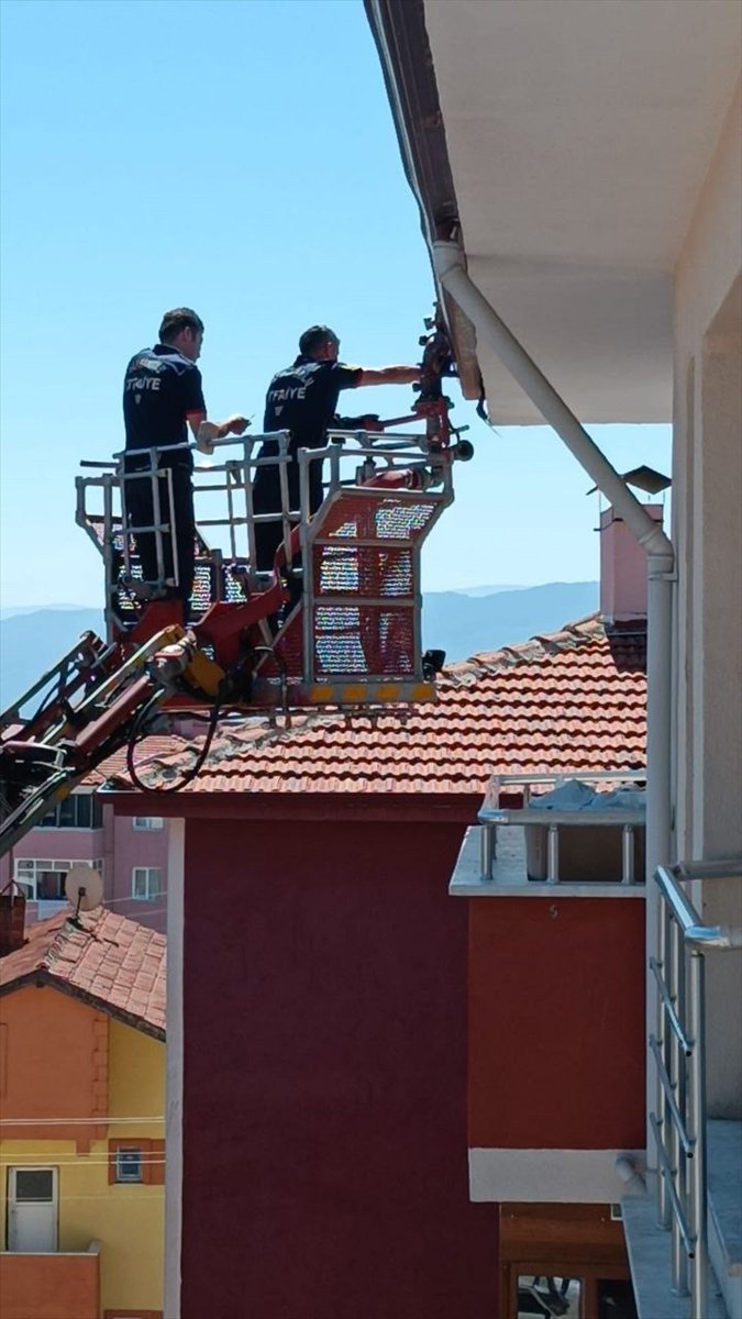 Karabük'e ipe dolanarak çatıda mahsur kalan kırlangıç kurtarıldı