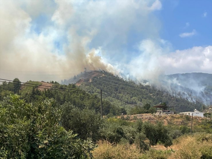 Hatay'da orman yangını çıktı