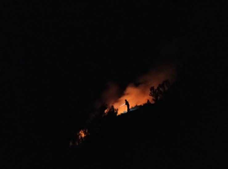 Hatay'da makilik alanda çıkan yangın söndürüldü