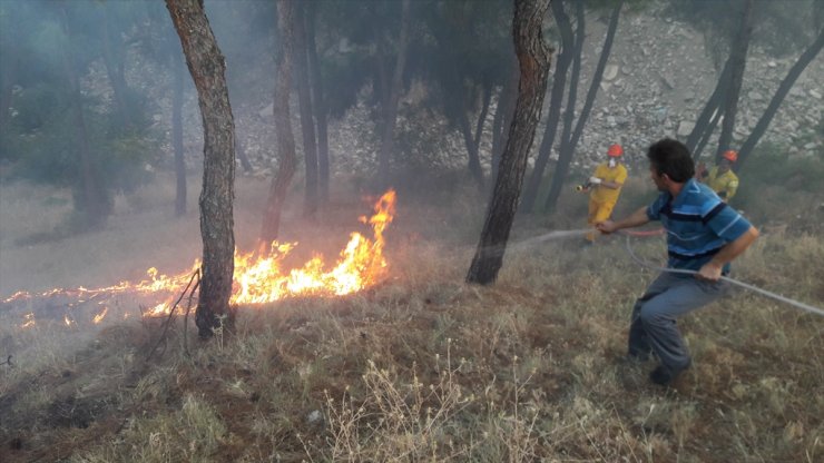 Sinop'ta çıkan orman yangını söndürüldü