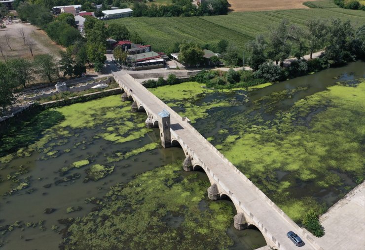 Edirne'de debisi düşen Tunca Nehri'nde çöpler ortaya çıktı