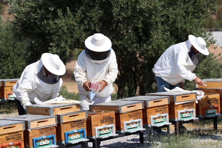 Manisa'da kullanılmayan okul binası arıcılık eğitim merkezi oldu