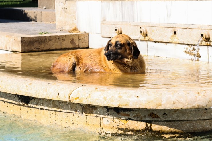 Adana'da sıcak hava etkili oldu