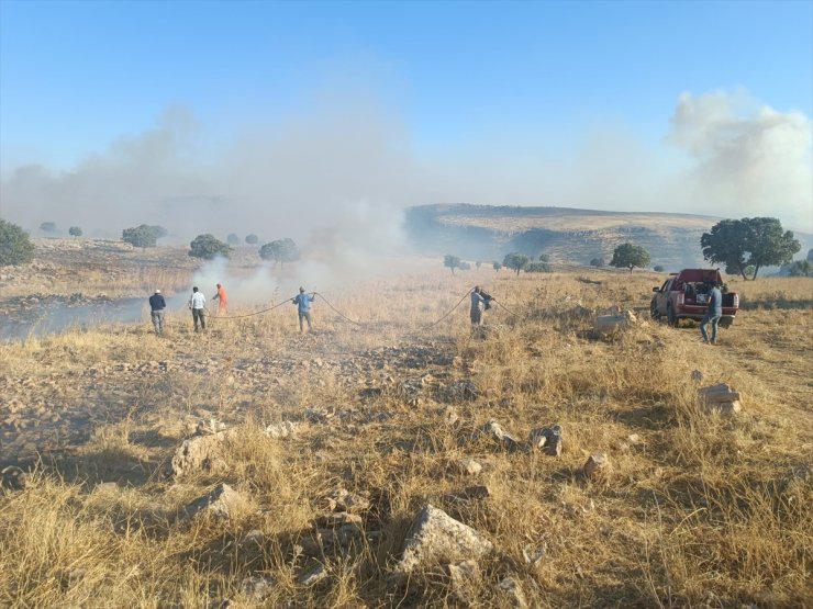 Mardin'de çıkan orman ve örtü yangınına müdahale ediliyor