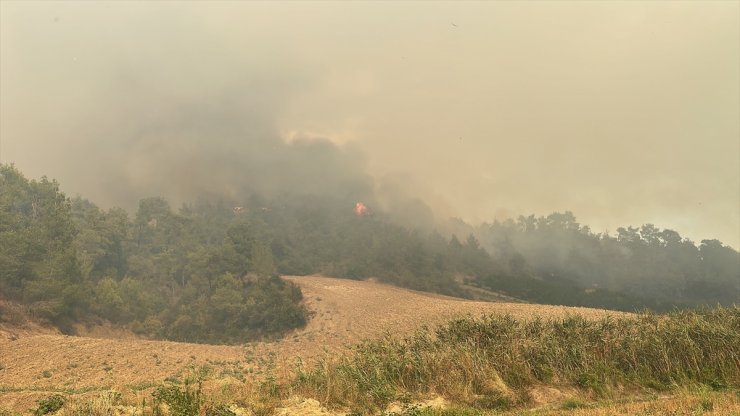 Adana'da çıkan orman yangınına müdahale ediliyor