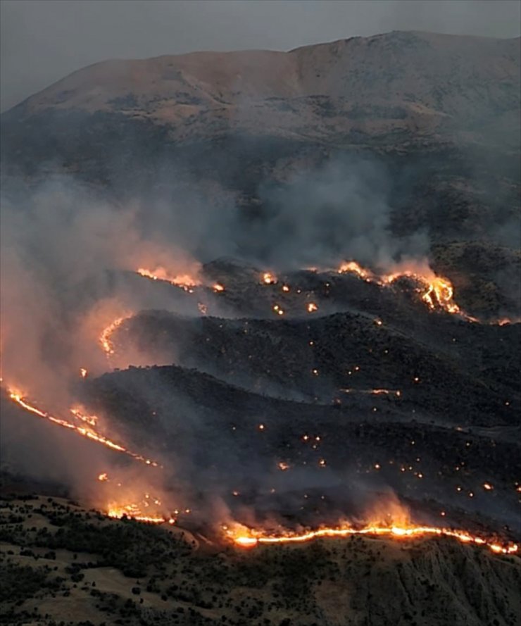 Adıyaman'ın Gerger ilçesinde çıkan orman yangını kontrol altına alındı