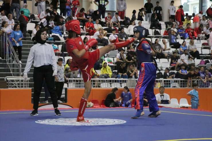 6. Açık Balkan Wushu Kung Fu Şampiyonası Edirne'de başladı