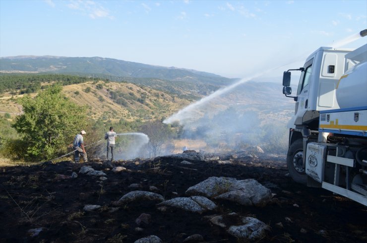 Çankırı'da çıkan orman yangını söndürüldü