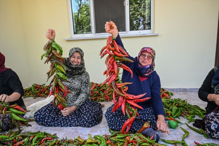 Bakanlığın ata tohumlardan ürettiği fideler verimiyle çiftçi kadınları memnun etti